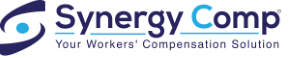 Synergy Logo